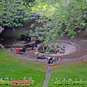 Vue cavalière du dégagement du bassin.